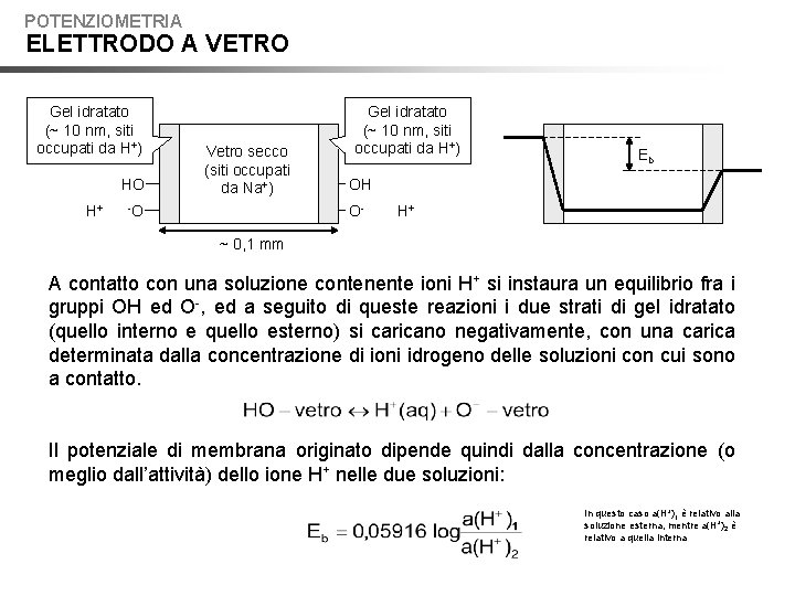 POTENZIOMETRIA ELETTRODO A VETRO Gel idratato (~ 10 nm, siti occupati da H+) HO