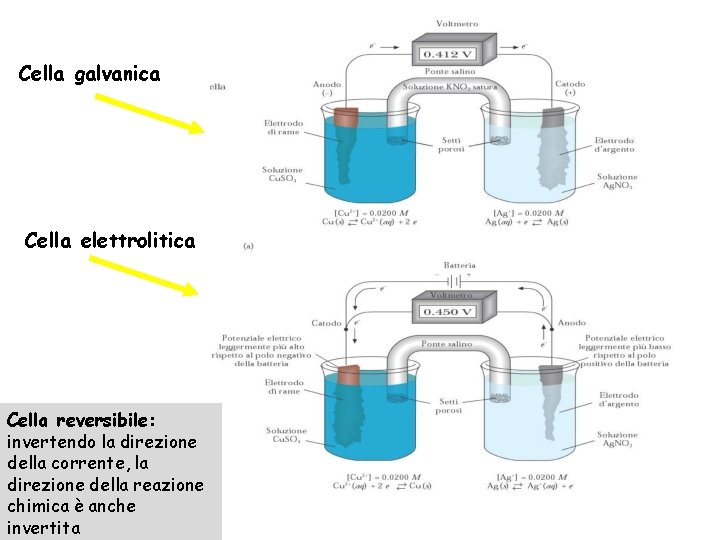 Cella galvanica Cella elettrolitica Cella reversibile: invertendo la direzione della corrente, la direzione della