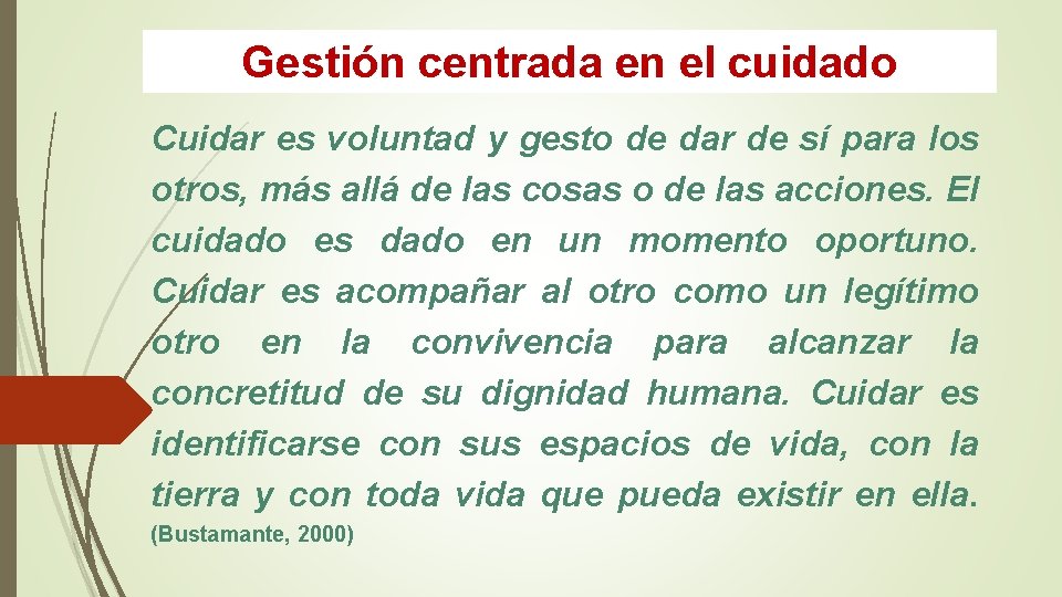 Gestión centrada en el cuidado Cuidar es voluntad y gesto de dar de sí Gestión centrada en el cuidado Cuidar es voluntad y gesto de dar de sí
