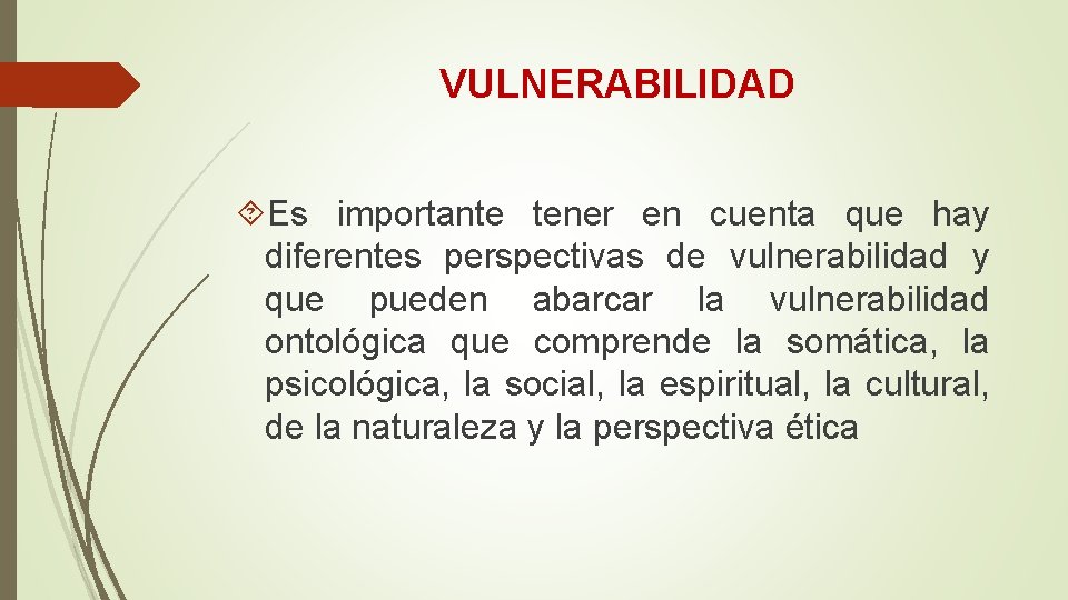 VULNERABILIDAD Es importante tener en cuenta que hay diferentes perspectivas de vulnerabilidad y que VULNERABILIDAD Es importante tener en cuenta que hay diferentes perspectivas de vulnerabilidad y que