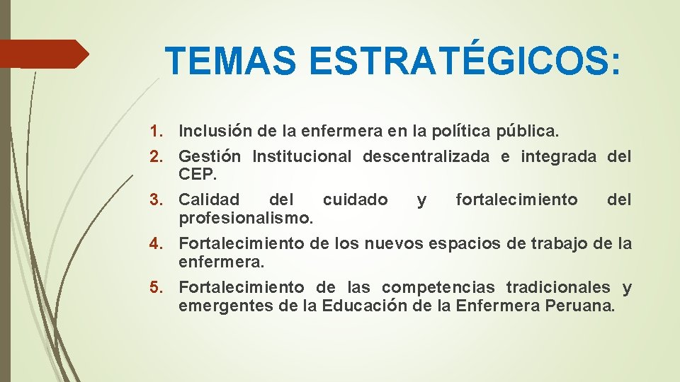 TEMAS ESTRATÉGICOS: 1. Inclusión de la enfermera en la política pública. 2. Gestión Institucional TEMAS ESTRATÉGICOS: 1. Inclusión de la enfermera en la política pública. 2. Gestión Institucional