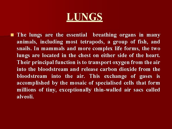 LUNGS n The lungs are the essential breathing organs in many animals, including most