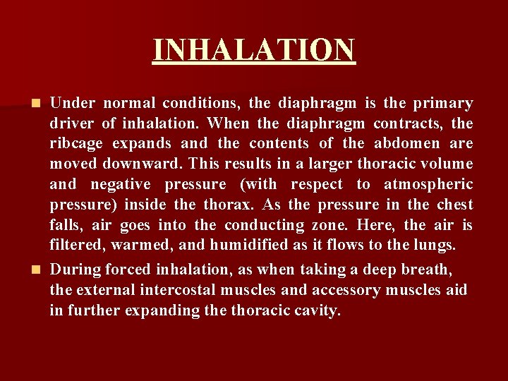 INHALATION Under normal conditions, the diaphragm is the primary driver of inhalation. When the