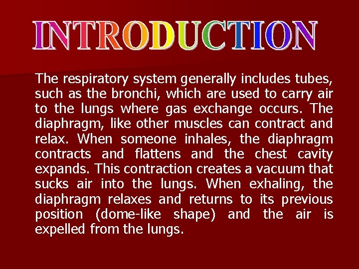 The respiratory system generally includes tubes, such as the bronchi, which are used to