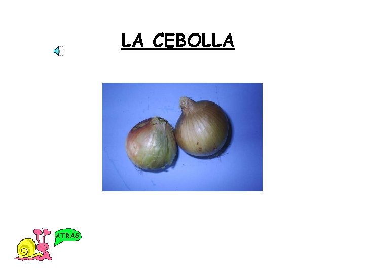 LA CEBOLLA 