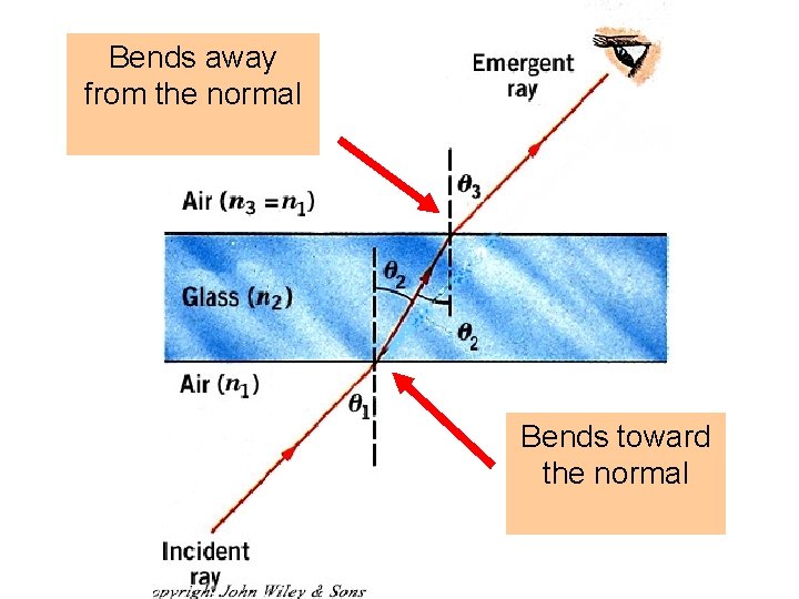 Bends away from the normal Bends toward the normal 