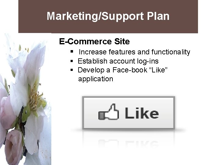 Marketing/Support Plan E-Commerce Site § Increase features and functionality § Establish account log-ins §
