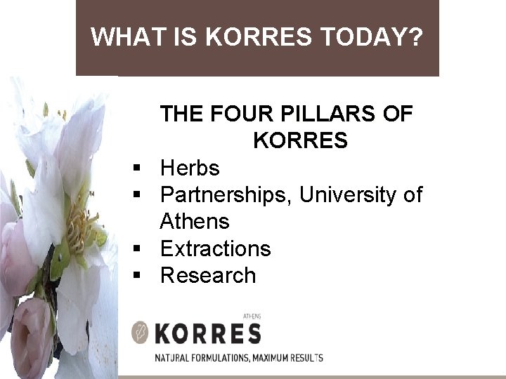 WHAT IS KORRES TODAY? § § THE FOUR PILLARS OF KORRES Herbs Partnerships, University