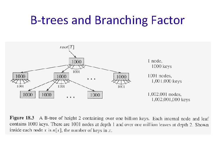 B-trees and Branching Factor 