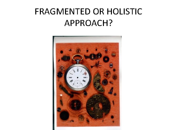 FRAGMENTED OR HOLISTIC APPROACH? 