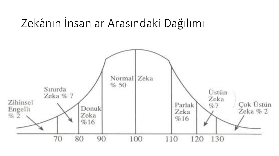 Zekânın İnsanlar Arasındaki Dağılımı 