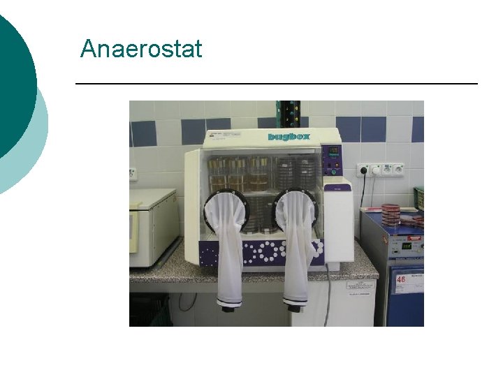 Anaerostat 