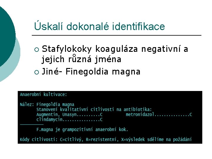 Úskalí dokonalé identifikace Stafylokoky koaguláza negativní a jejich různá jména ¡ Jiné- Finegoldia magna