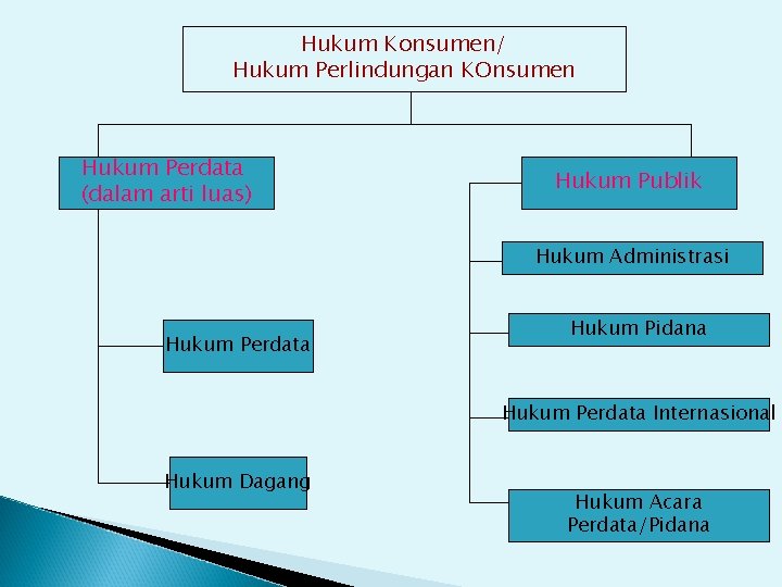 Hukum Konsumen/ Hukum Perlindungan KOnsumen Hukum Perdata (dalam arti luas) Hukum Publik Hukum Administrasi