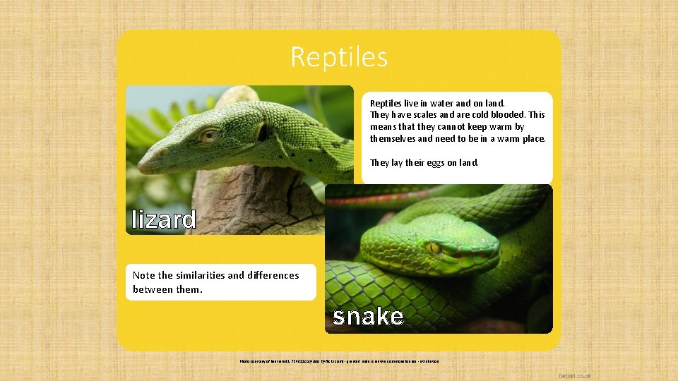 Lesson Objective To describe how living things are