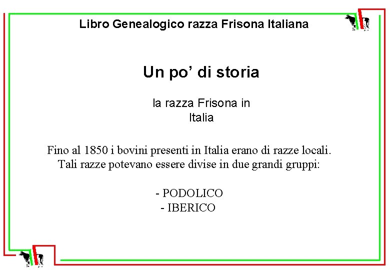 Libro Genealogico razza Frisona Italiana Un po’ di storia la razza Frisona in Italia