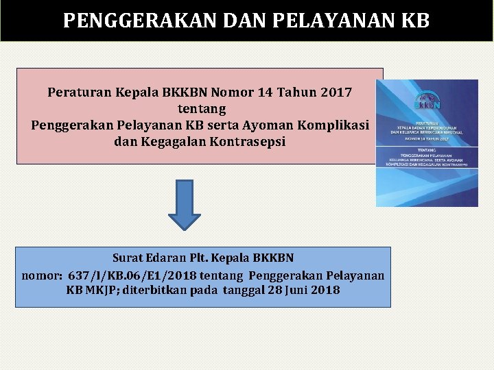 PENGGERAKAN DAN PELAYANAN KB Peraturan Kepala BKKBN Nomor 14 Tahun 2017 tentang Penggerakan Pelayanan