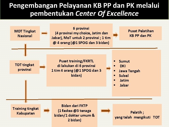Pengembangan Pelayanan KB PP dan PK melalui pembentukan Center Of Excellence MOT Tingkat Nasional
