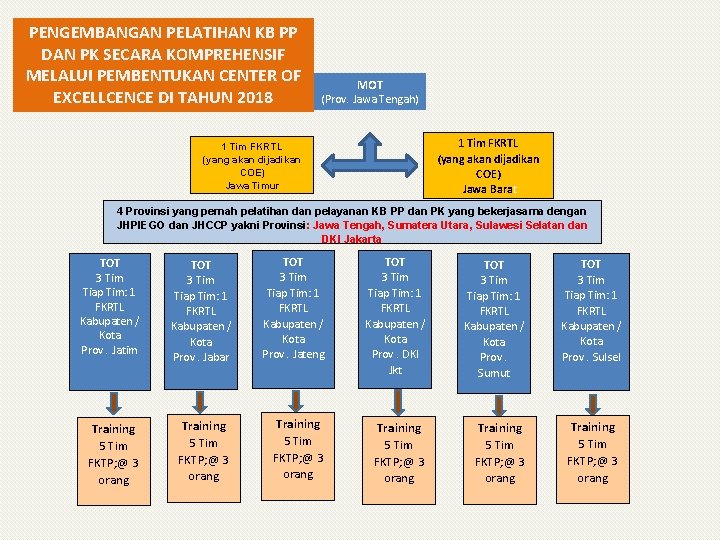 PENGEMBANGAN PELATIHAN KB PP DAN PK SECARA KOMPREHENSIF MELALUI PEMBENTUKAN CENTER OF EXCELLCENCE DI