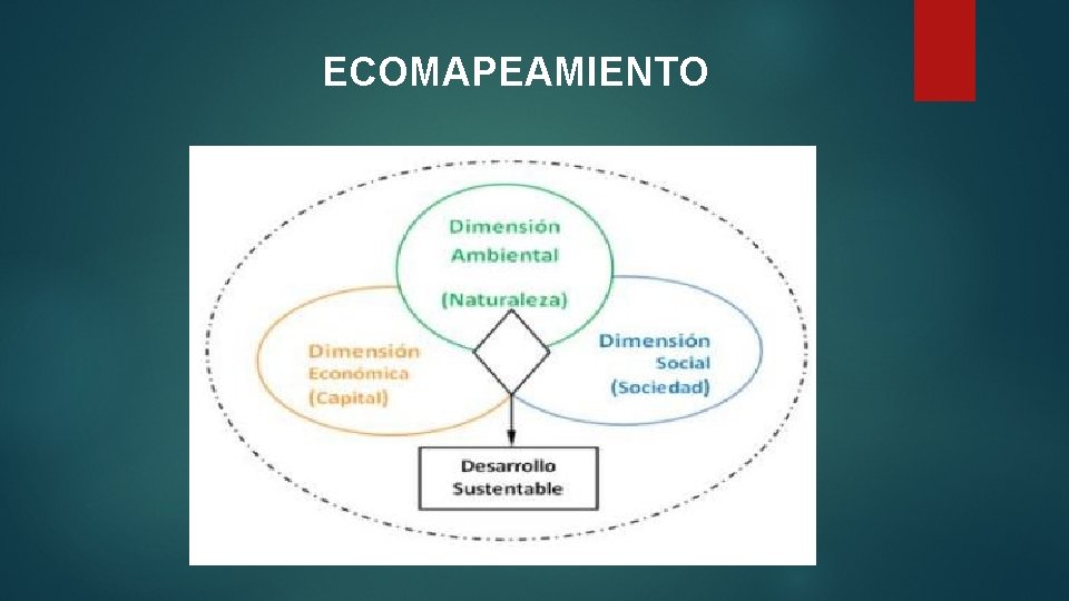 ECOMAPEAMIENTO 