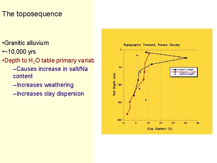 The toposequence • Granitic alluvium • ~10, 000 yrs • Depth to H 2