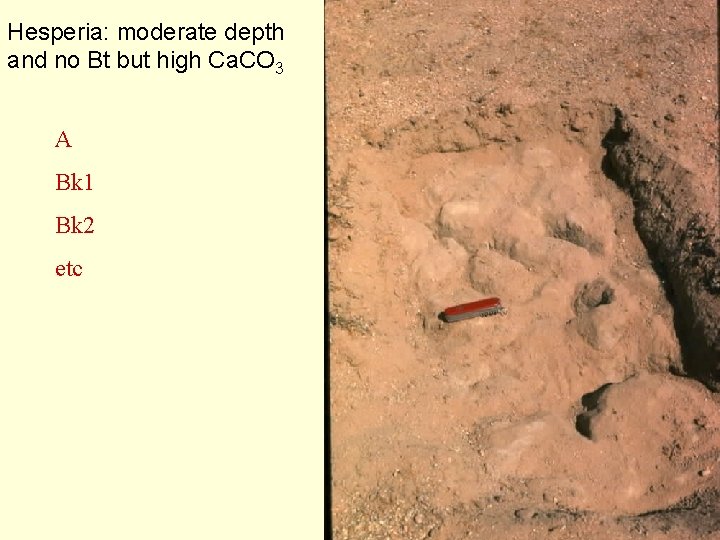Hesperia: moderate depth and no Bt but high Ca. CO 3 A Bk 1