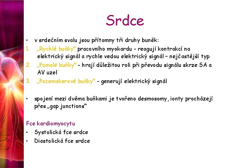 Srdce • v srdečním svalu jsou přítomny tři druhy buněk: 1. „Rychlé buňky“ pracovního