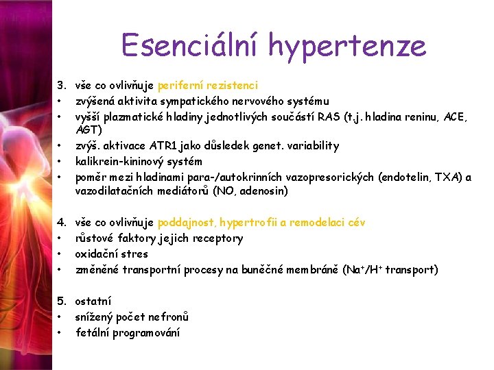 Esenciální hypertenze 3. vše co ovlivňuje periferní rezistenci • zvýšená aktivita sympatického nervového systému