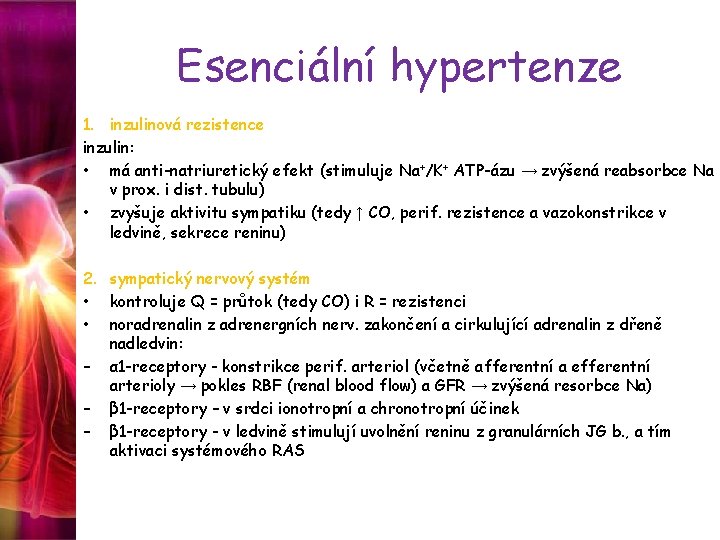 Esenciální hypertenze 1. inzulinová rezistence inzulin: • má anti-natriuretický efekt (stimuluje Na+/K+ ATP-ázu →