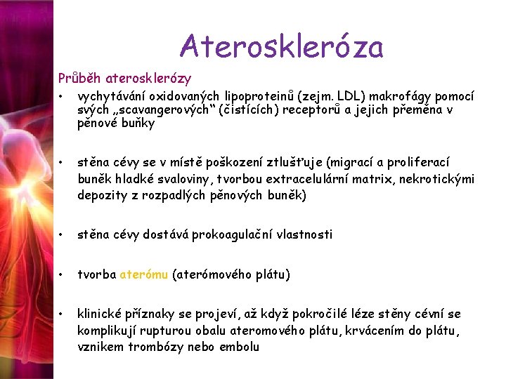 Ateroskleróza Průběh aterosklerózy • vychytávání oxidovaných lipoproteinů (zejm. LDL) makrofágy pomocí svých „scavangerových“ (čistících)