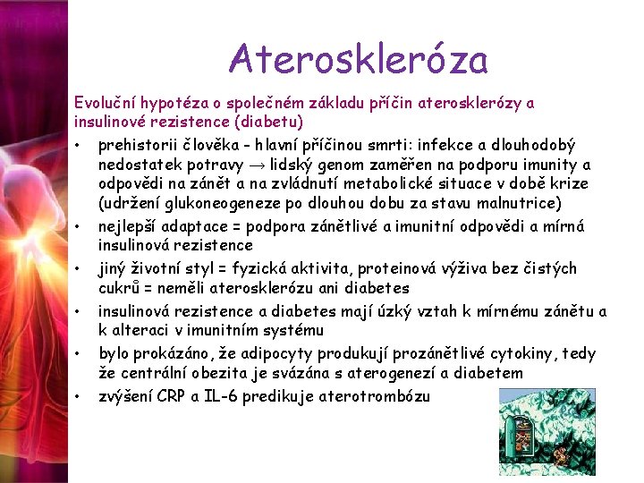 Ateroskleróza Evoluční hypotéza o společném základu příčin aterosklerózy a insulinové rezistence (diabetu) • prehistorii