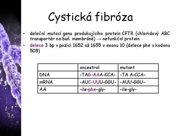 Cystická fibróza • • deleční mutací genu produkujícího protein CFTR (chloridový ABC transportér na