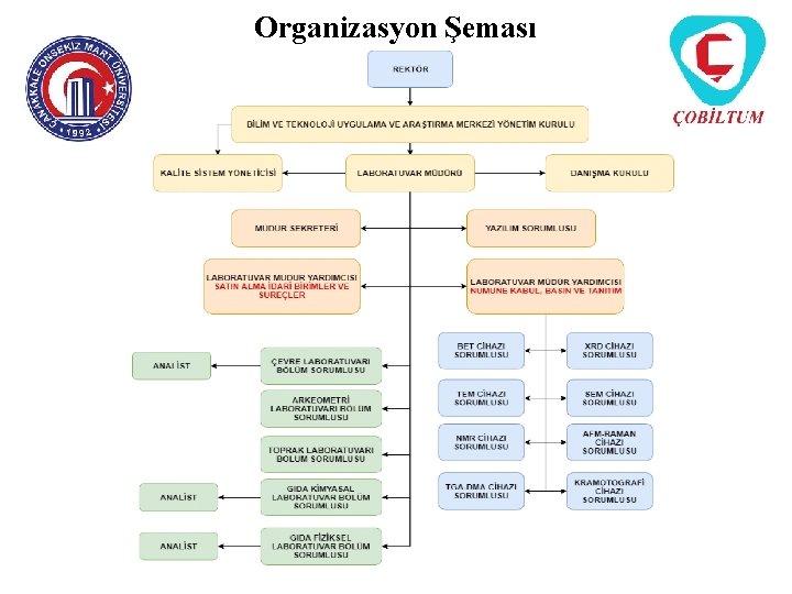 Organizasyon Şeması 