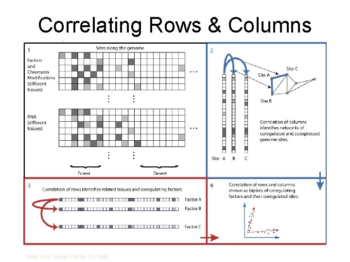 Correlating Rows & Columns [Nat. Rev. Genet. (2010) 11: 559] 