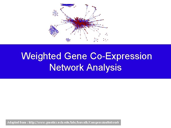 Weighted Gene Co-Expression Network Analysis Bin Zhang and Steve Horvath (2005) "A General Framework