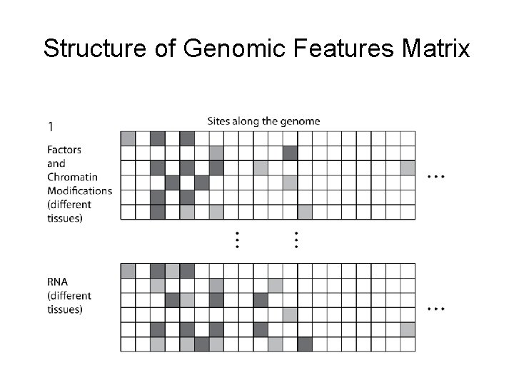 Structure of Genomic Features Matrix 