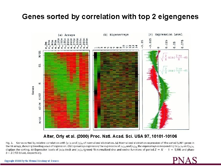 Genes sorted by correlation with top 2 eigengenes Alter, Orly et al. (2000) Proc.