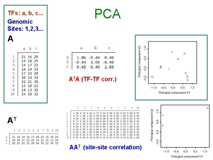 TFs: a, b, c. . . Genomic Sites: 1, 2, 3. . . PCA