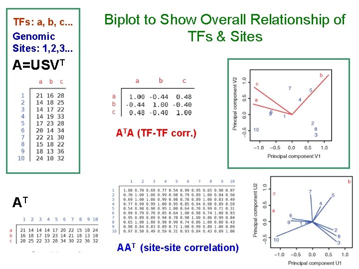 TFs: a, b, c. . . Genomic Sites: 1, 2, 3. . . Biplot