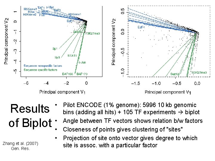 Results of Biplot Zhang et al. (2007) Gen. Res. • Pilot ENCODE (1% genome):