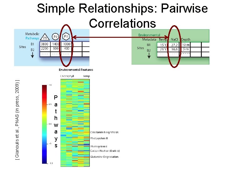 [ Gianoulis et al. , PNAS (in press, 2009) ] Simple Relationships: Pairwise Correlations