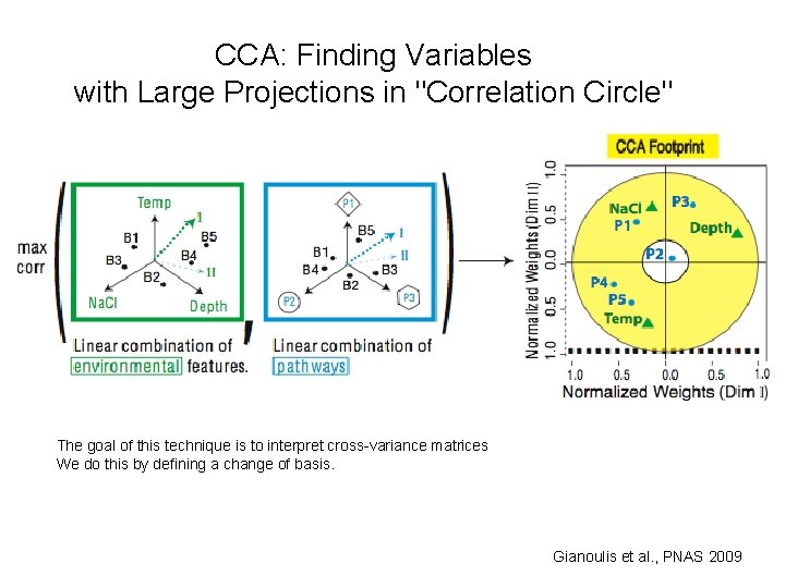 CCA: Finding Variables with Large Projections in "Correlation Circle" The goal of this technique