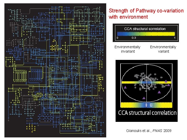 Strength of Pathway co-variation with environment Circuit Map Environmentally invariant Environmentally variant Gianoulis et