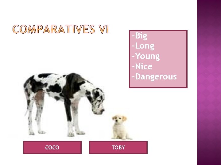 -Big -Long -Young -Nice -Dangerous COCO TOBY -Big -Long -Young -Nice -Dangerous COCO TOBY