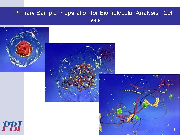 Primary Pressure Sample Preparation for Biomolecular Analysis: Cell Cycling Technology (PCT) Lysis 8 