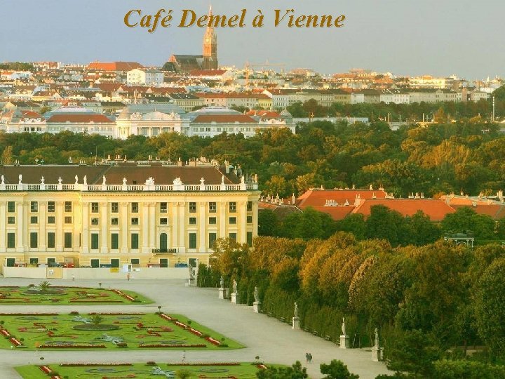 Café Demel à Vienne 