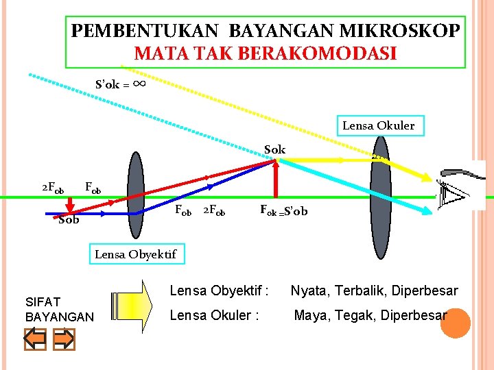 PEMBENTUKAN BAYANGAN MIKROSKOP MATA TAK BERAKOMODASI S’ok = ∞ Lensa Okuler Sok 2 Fob