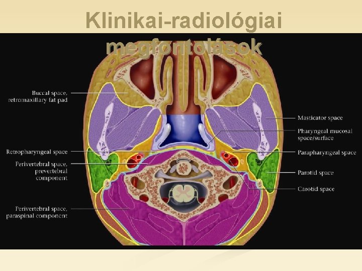 Klinikai-radiológiai megfontolások Klinikai-radiológiai megfontolások