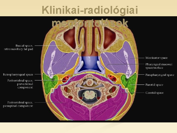 Klinikai-radiológiai megfontolások 