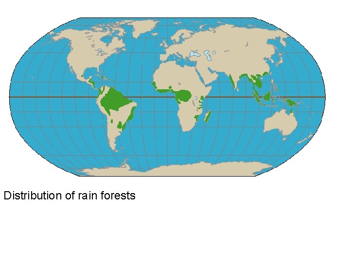 Distribution of rain forests 